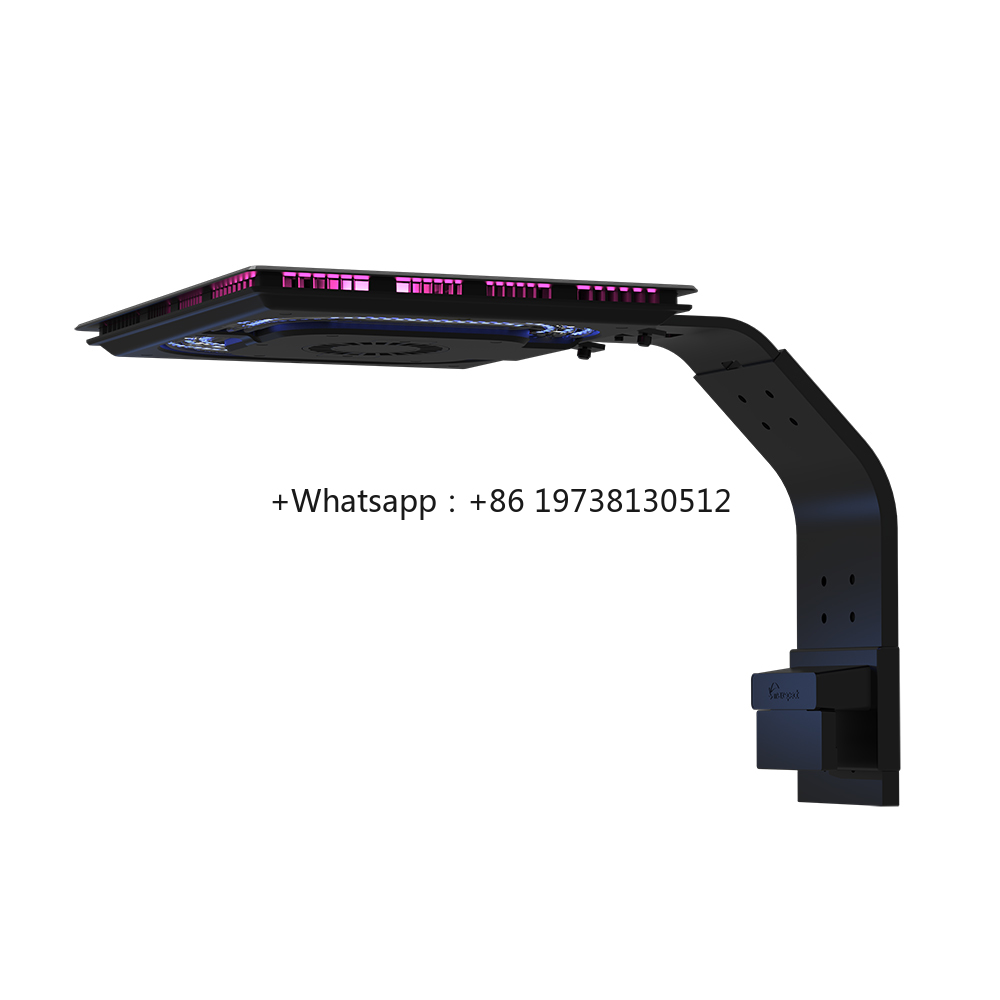 Lampu LED Akuarium Air Laut Te - Marine Aquarium & Regional Centre ulasan dan harga