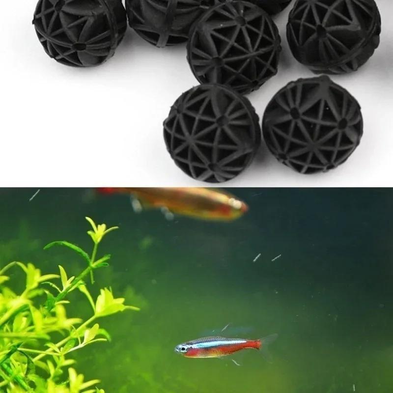 50 Buah Bola Filter Bio Akuari - Marine Aquarium & Regional Centre ulasan dan harga