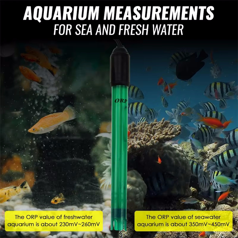 Probe Elektroda ORP Profesiona - Marine Aquarium Par Meter ulasan dan harga
