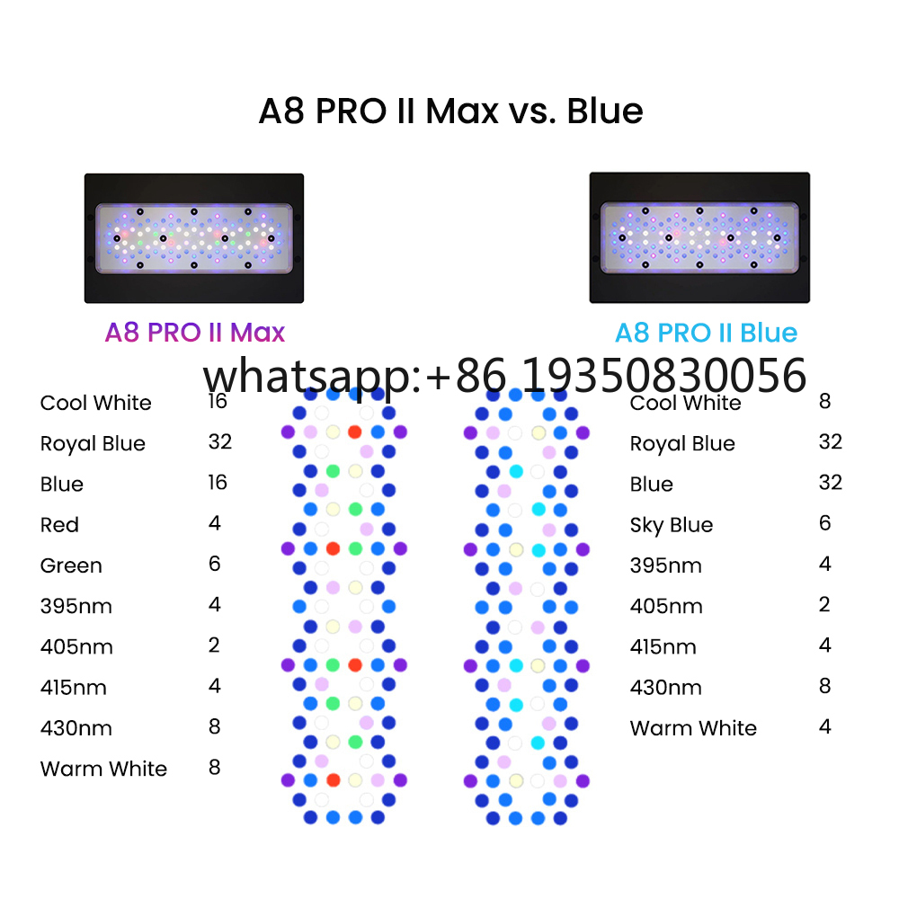 Lampu LED Akuarium Terumbu Kar - Marine Aquarium & Regional Centre ulasan dan harga