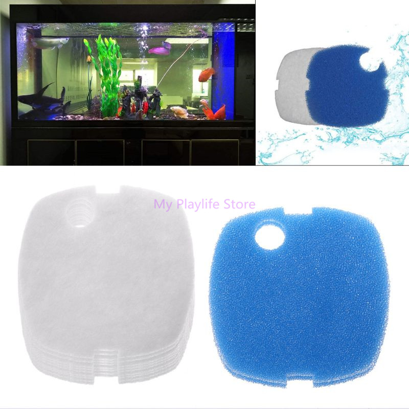 10 buah spons bantalan penyari - Marine Aquarium Par Meter ulasan dan harga