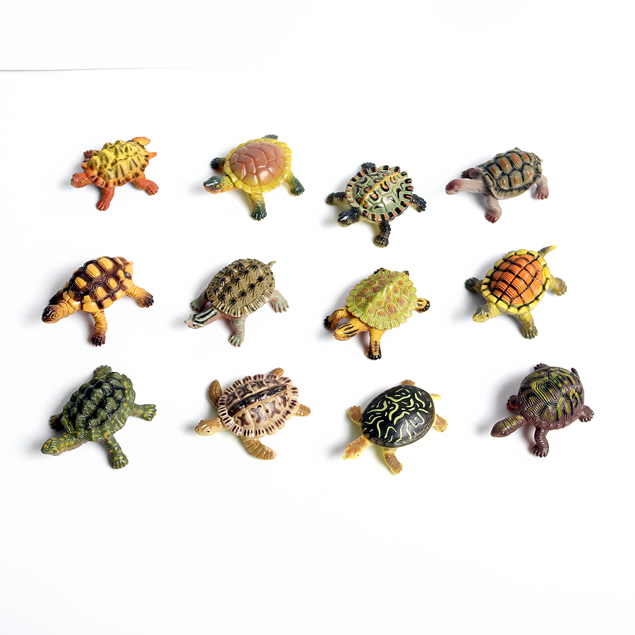 Miniatur realistis kehidupan l - Marine Aquarium & Regional Centre ulasan dan harga