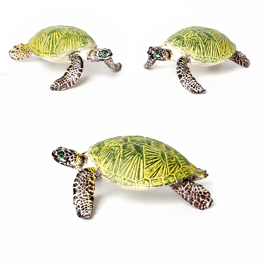 Miniatur realistis kehidupan l - Marine Aquarium & Regional Centre ulasan dan harga